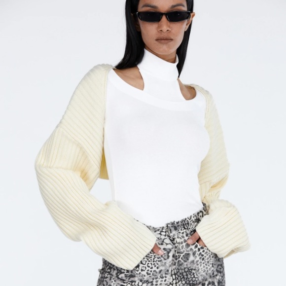 Source Unknown Sweater Sleeves 